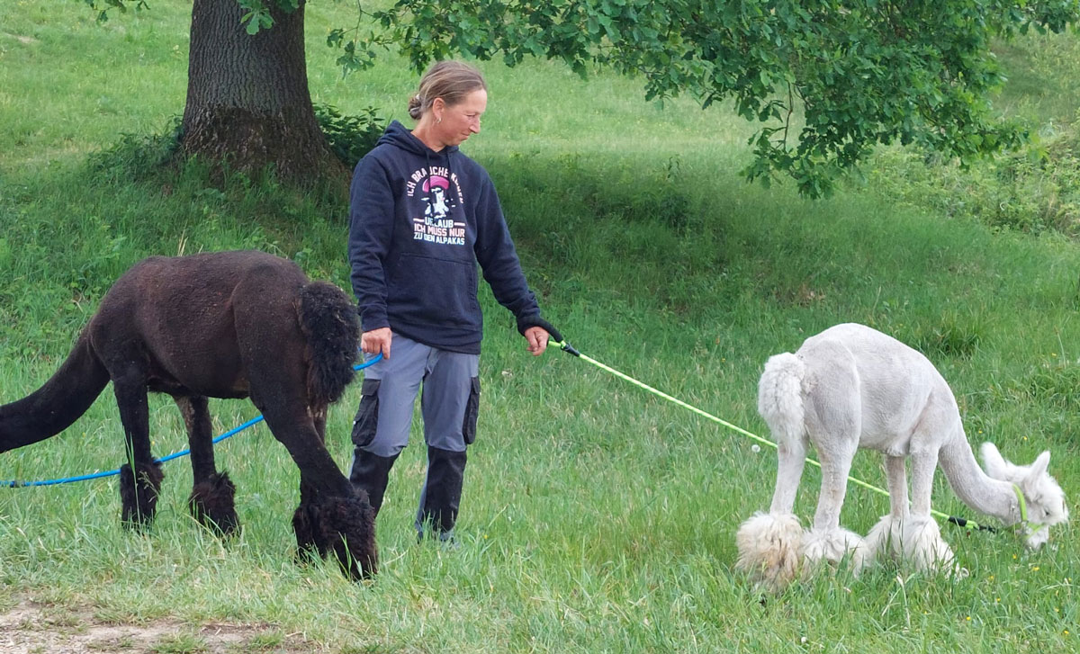 Kerstin_Alpaka.jpg